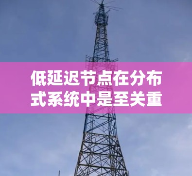 低延迟节点在分布式系统中是至关重要的,直接影响系统的响应速度和用户体验。以下是对低延迟节点的详细分析 低延迟节点在分布式系统中是至关重要的,直接影响系统的响应速度和用户体验。以下是对低延迟节点的详细分析