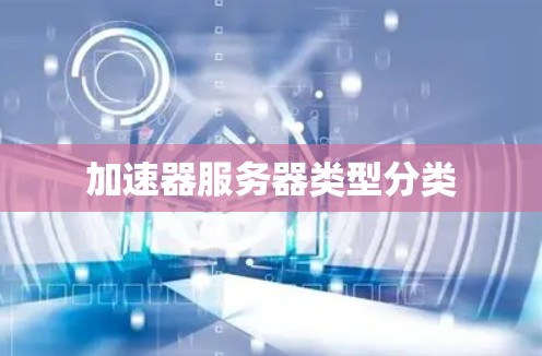 加速器服务器类型分类