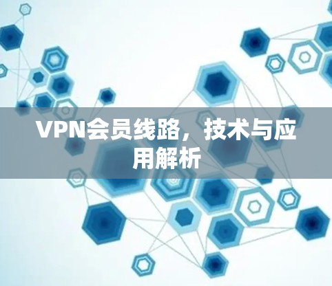 VPN会员线路，技术与应用解析