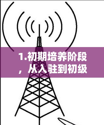 1.初期培养阶段,从入驻到初级会员 1.初期培养阶段,从入驻到初级会员
