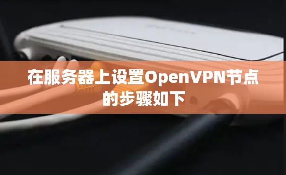 在服务器上设置OpenVPN节点的步骤如下